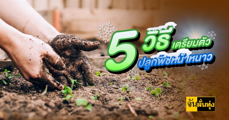 5 วิธีเตรียมตัวปลูกพืชหน้าหนาว