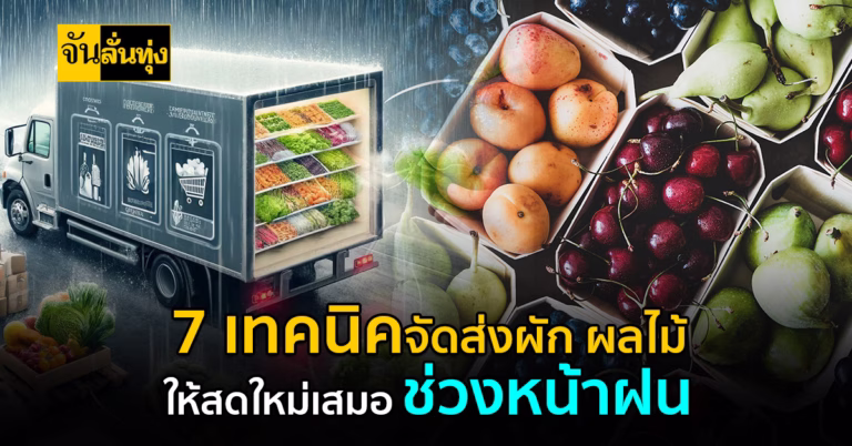 7 เทคนิคจัดส่งผัก ผลไม้ ให้สดใหม่เสมอ ช่วงหน้าฝน