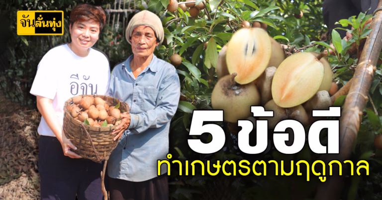 5 ข้อดี ทำเกษตรตามฤดูกาล