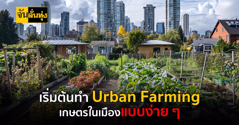 เริ่มต้นทำ Urban Farming เกษตรในเมืองแบบง่าย ๆ