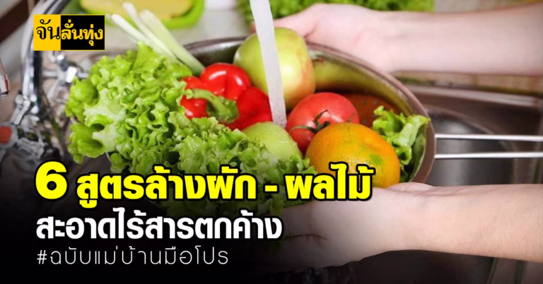 6 สูตรล้างผัก – ผลไม้ สะอาดไร้สารตกค้าง #ฉบับแม่บ้านมือโปร