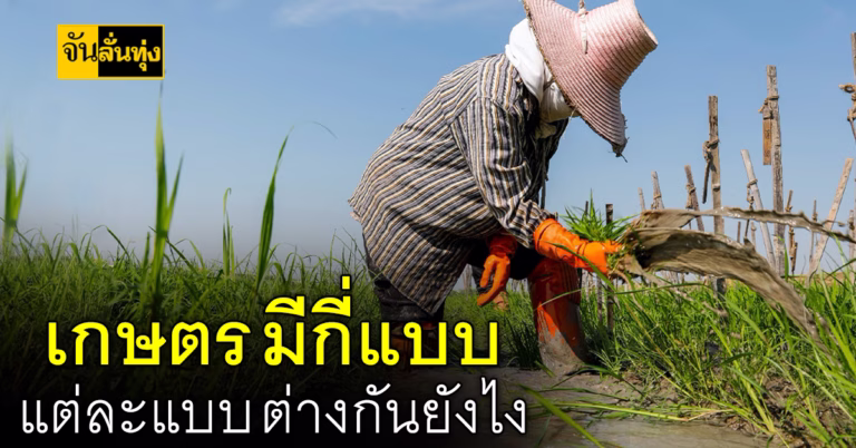 การทำเกษตร มีกี่แบบ แต่ละแบบ ต่างกันยังไง ข้อดี ข้อเสีย