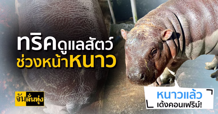 วิธีดูแลสัตว์หน้าหนาว