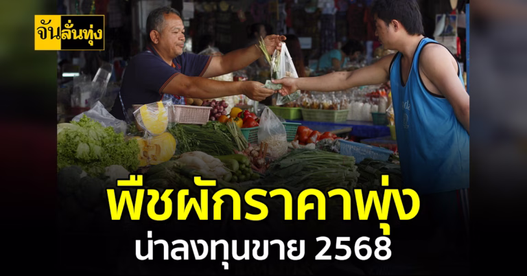 พืชผักราคาพุ่ง น่าลงทุนขาย 2568