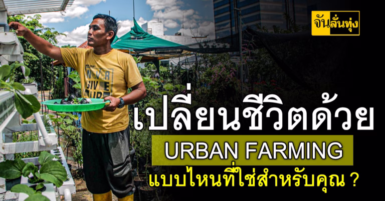 เปลี่ยนชีวิตด้วย Urban Farming แบบไหนที่ใช่สำหรับคุณ?