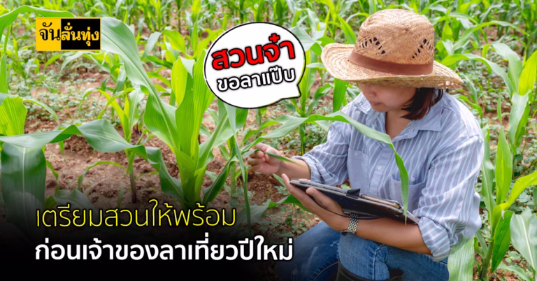 เตรียมสวนให้พร้อม ก่อนเจ้าของลาเที่ยวปีใหม่