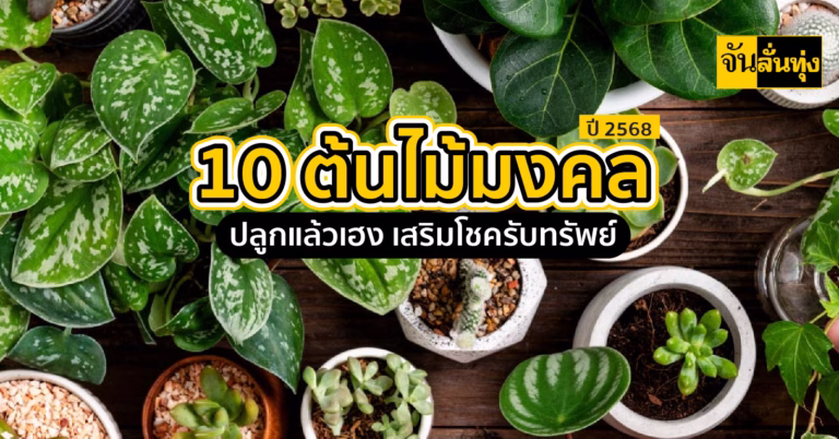 10 ต้นไม้มงคล ประจำปี 2568 ปลูกแล้วเฮง เสริมโชครับทรัพย์