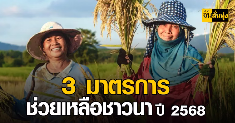 3 มาตรการช่วยเหลือชาวนาปี 2568