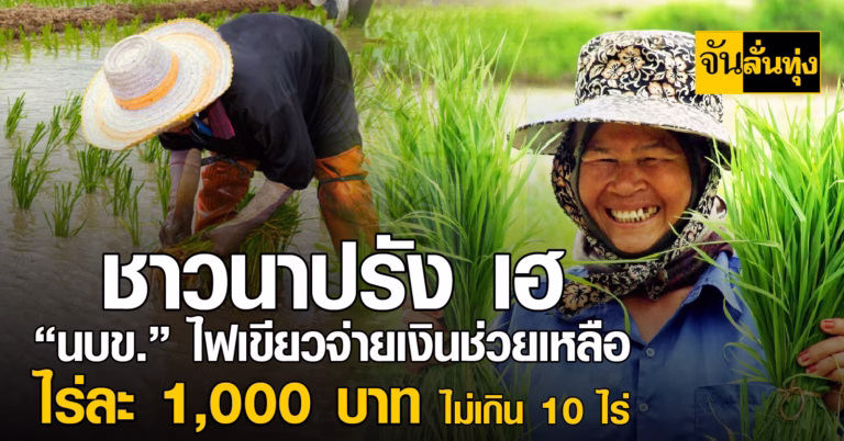 ชาวนาปรัง เฮ “นบข.” ไฟเขียวจ่ายเงินช่วยเหลือไร่ละ 1,000 บาทไม่เกิน 10 ไร่