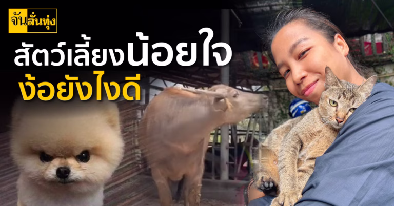 สัตว์เลี้ยงน้อยใจ ง้อยังไงดี