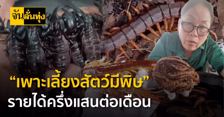 “เพาะเลี้ยงสัตว์มีพิษ” รายได้ครึ่งแสนต่อเดือน