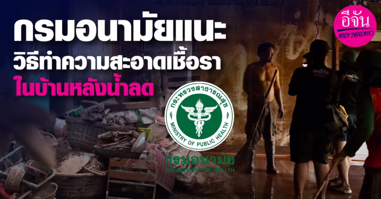 กรมอนามัยแนะ วิธีทำความสะอาดเชื้อราในบ้านหลังน้ำลด