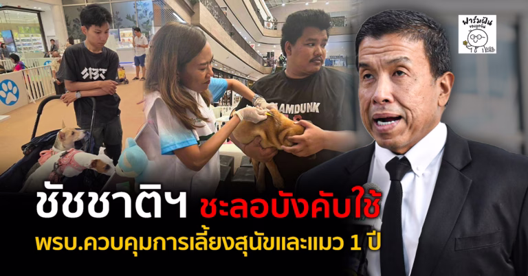 ชัชชาติฯ ชะลอบังคับใช้ พรบ.ควบคุมการเลี้ยงสุนัขและแมว 1 ปี