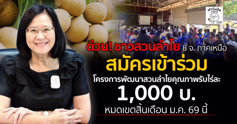 ด่วน! ชาวสวนลำไย 8 จ. ภาคเหนือ สมัครเข้าร่วมโครงการพัฒนาสวนลำไยคุณภาพรับไร่ละ 1,000 บ. หมดเขตสิ้นเดือน ม.ค. 69 นี้