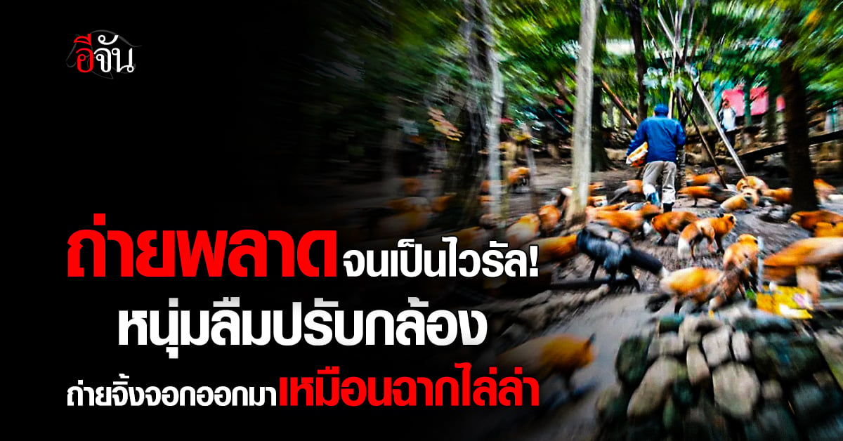 ถ่ายพลาดจนเป็นไวรัล! หนุ่มลืมปรับกล้อง ถ่ายจิ้งจอกออกมาเหมือ