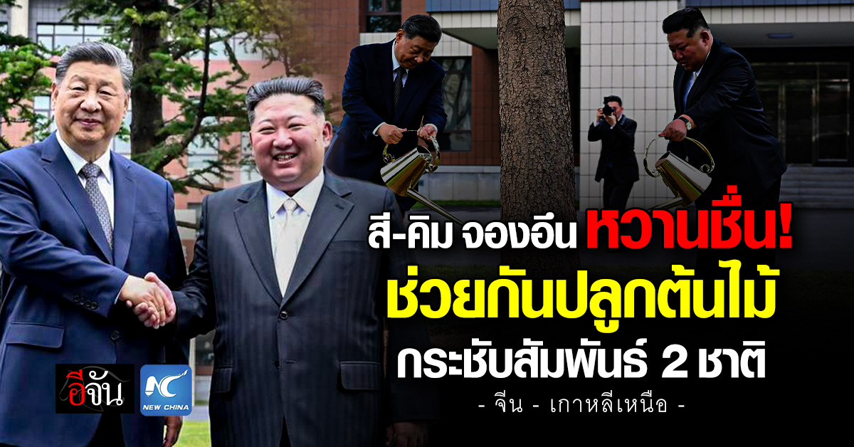 “สี จิ้นผิง” ควง “คิม จองอึน” ปลูกต้นไม้ กระชับสัมพันธ์ 2 ชา